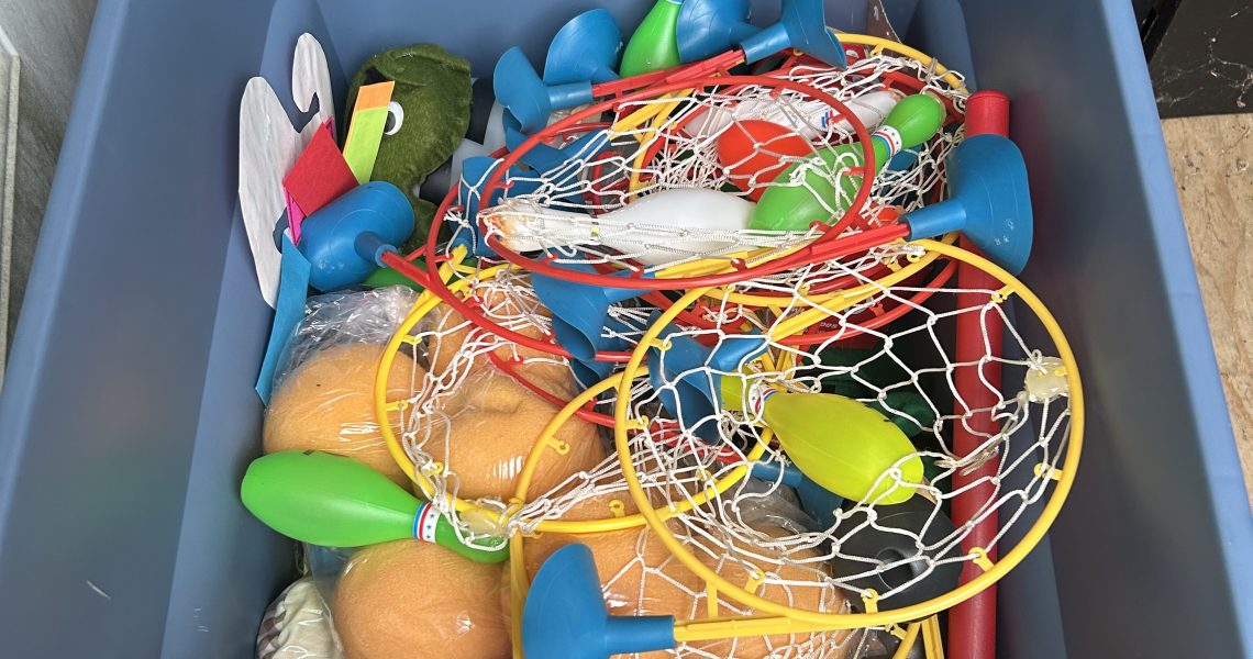 Garden Shed Cleaned Up